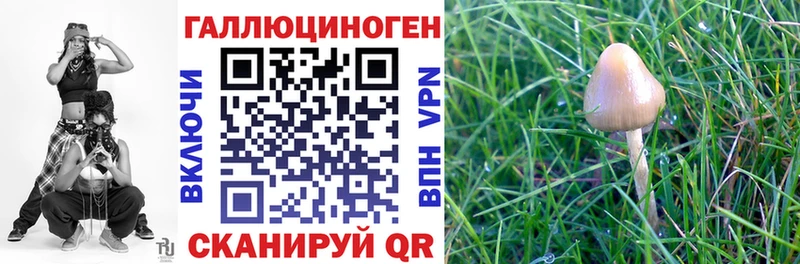 Галлюциногенные грибы Cubensis  Ленинск 